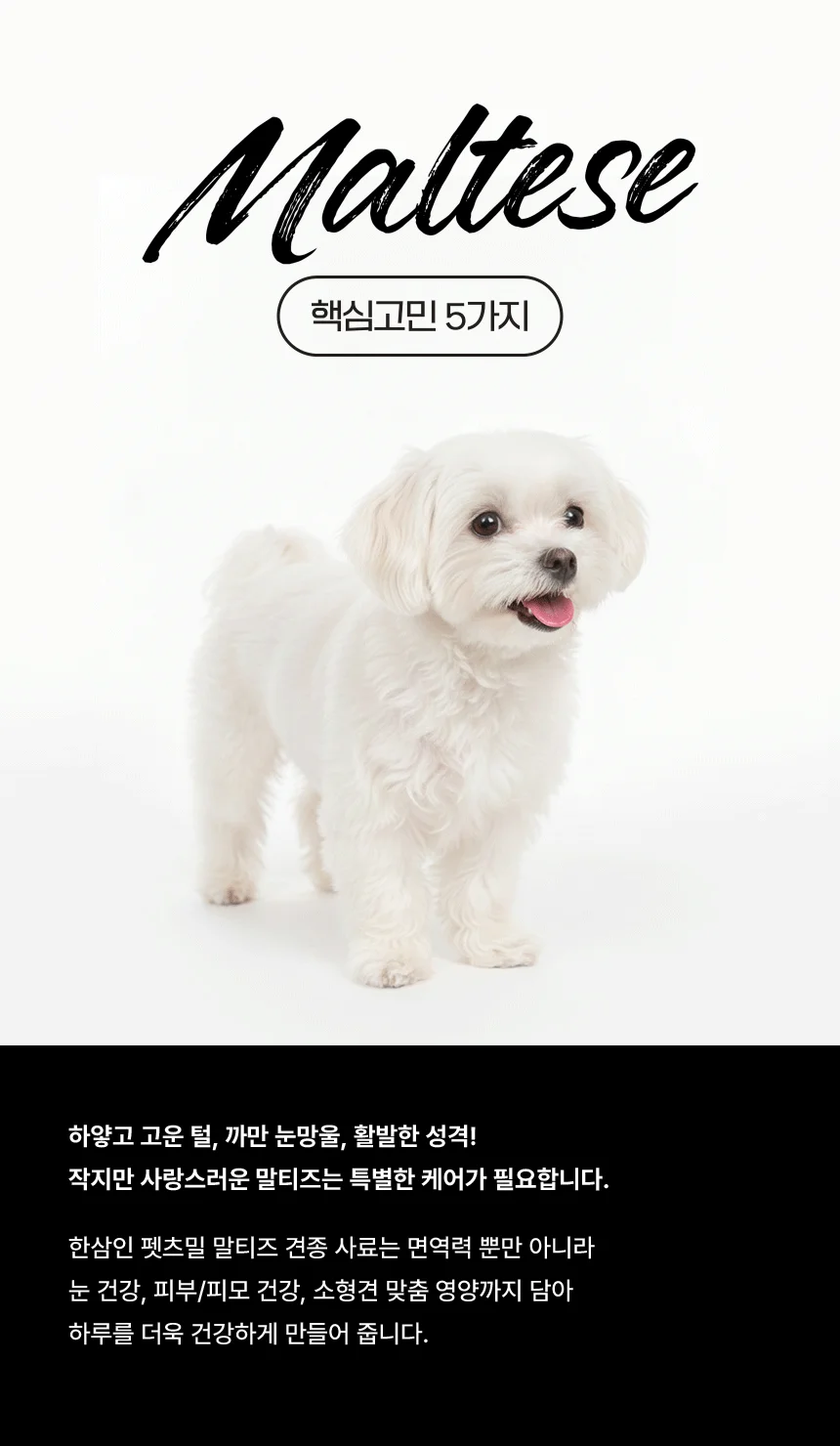 [NEW신상][무료배송] 한삼인 펫츠밀 말티즈 사료 1.8kg 5번째