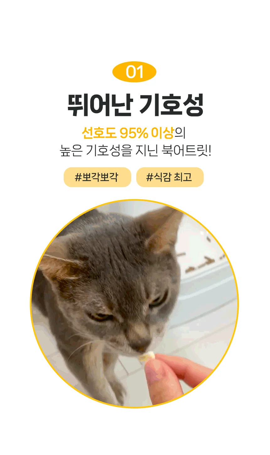 [NEW신상]페네핏 뽀각뽀각 북어 트릿 50g 3번째