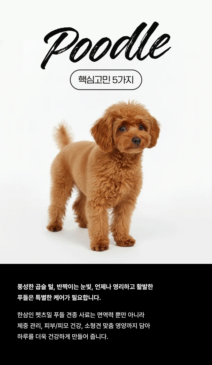 [NEW신상][무료배송] 한삼인 펫츠밀 푸들 사료 1.8kg 5번째