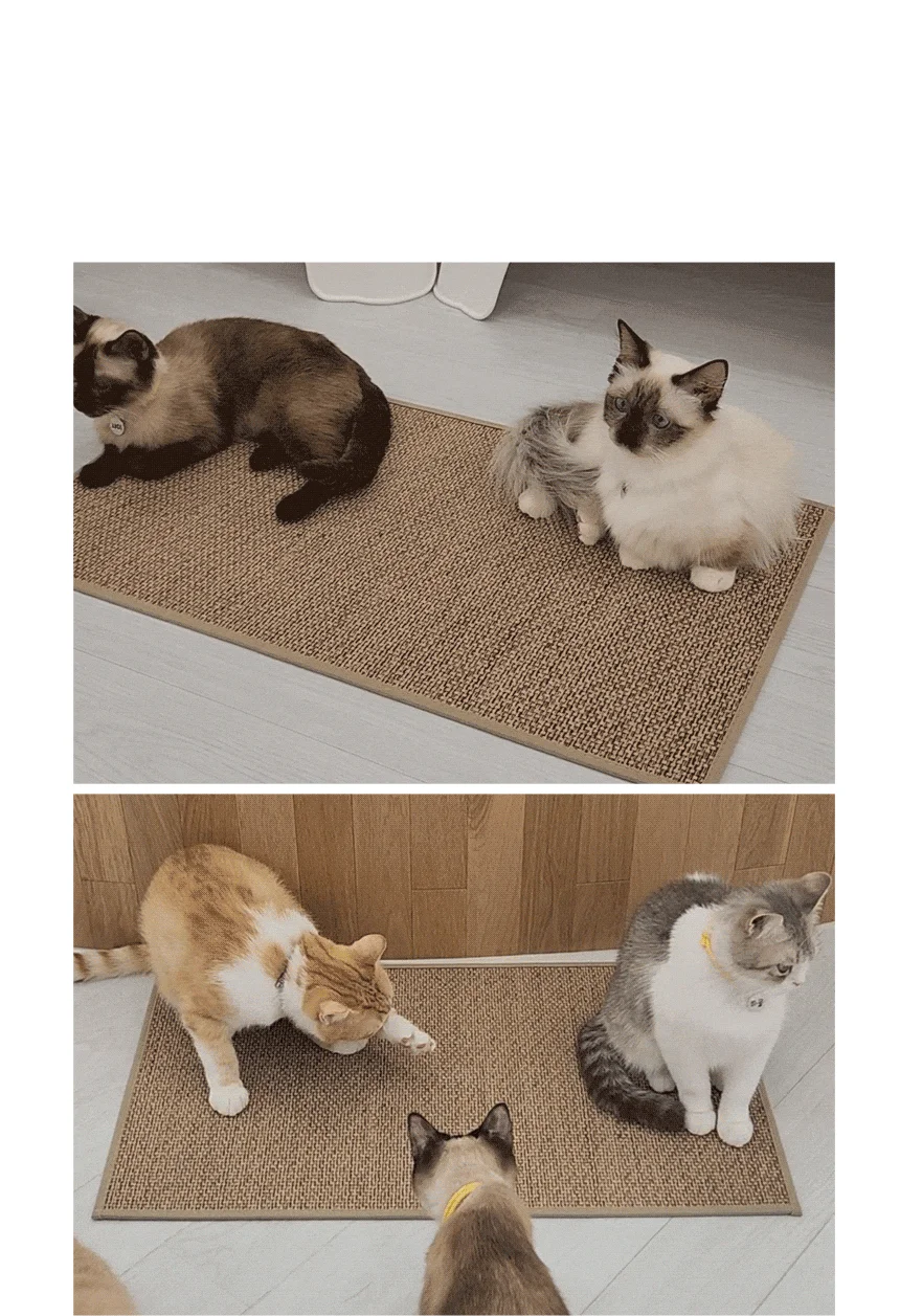 [NEW신상][무료배송] 캣나인 안식처 이너무바 76x46cm 16번째