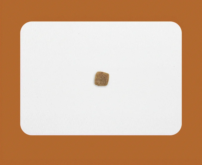 [NEW신상][무료배송] 한삼인 펫츠밀 말티즈 사료 1.8kg 9번째