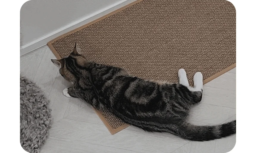 [NEW신상][무료배송] 캣나인 안식처 이너무바 76x46cm 4번째