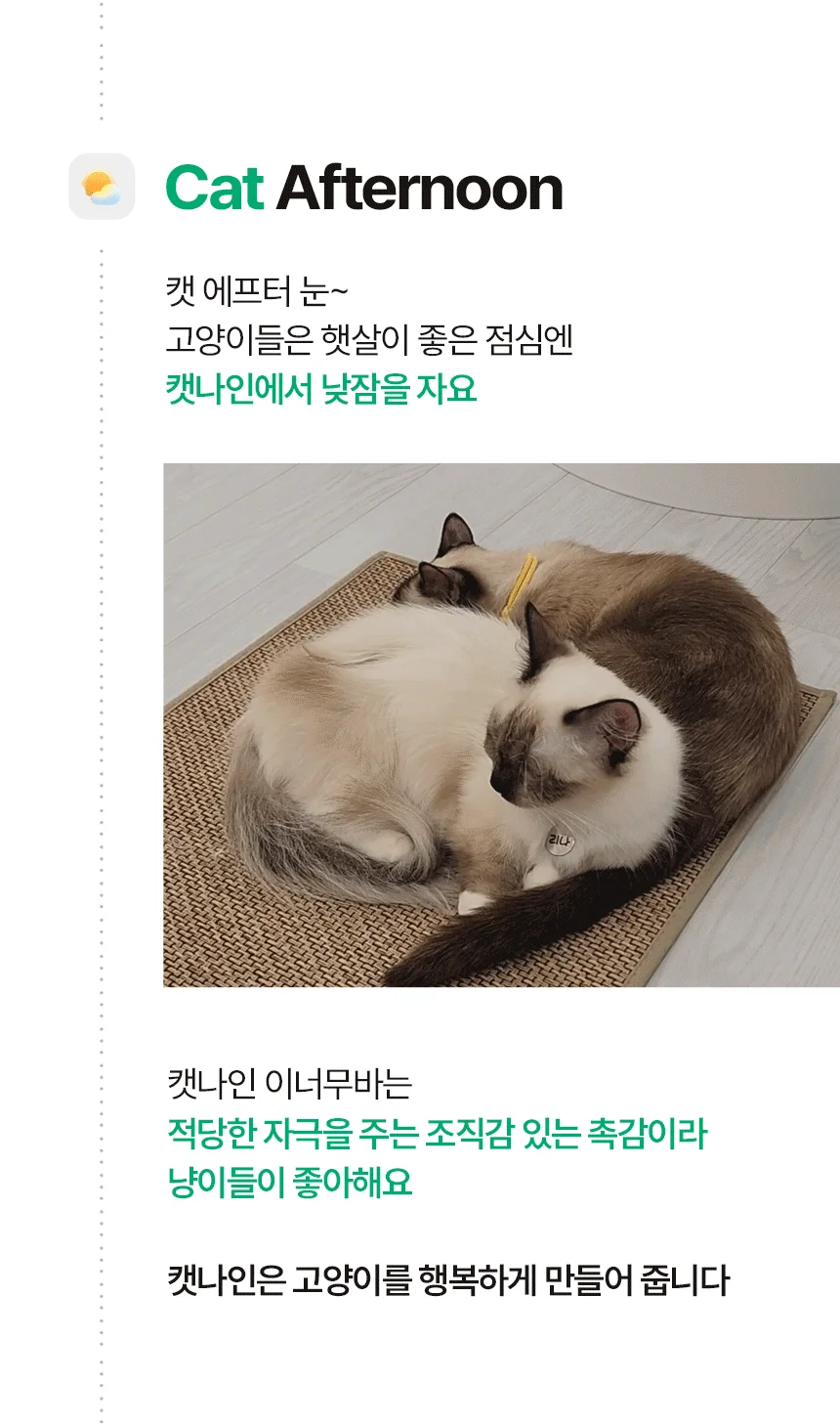 [NEW신상][무료배송] 캣나인 안식처 이너무바 76x46cm 18번째