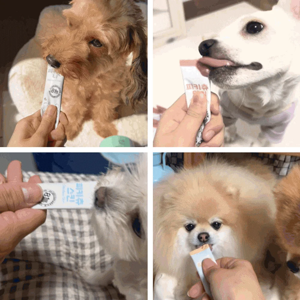 [NEW신상][무료배송] 피키펫 독 장&위 영양제 10g*20개입 12번째