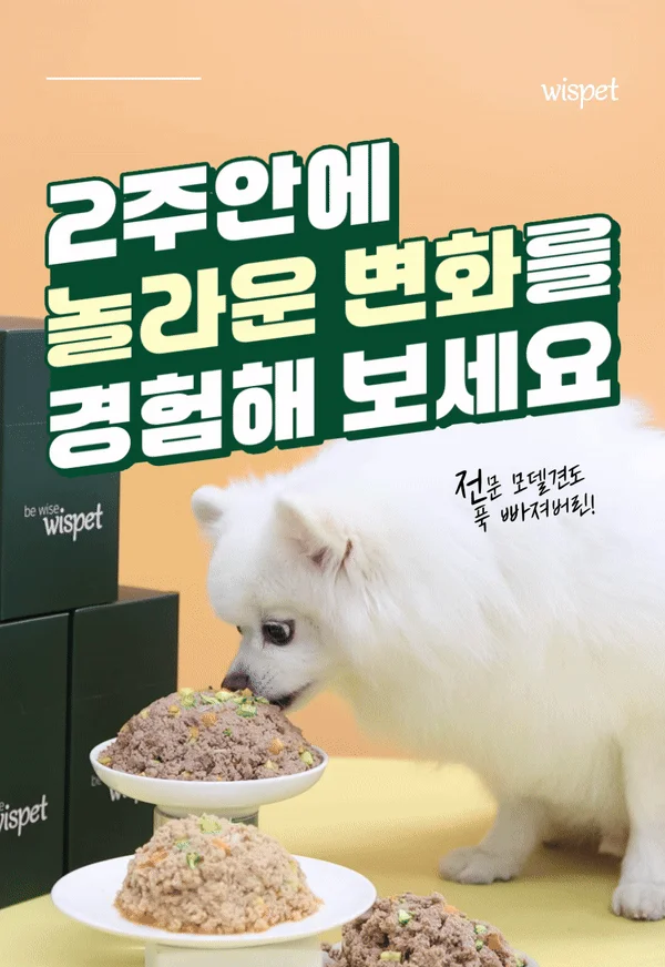 [NEW신상]와즈펫 강아지 프리미엄 화식사료 오리 100g 22번째