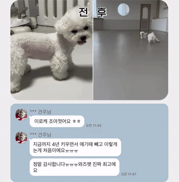 [NEW신상]와즈펫 강아지 프리미엄 화식사료 오리 100g 24번째