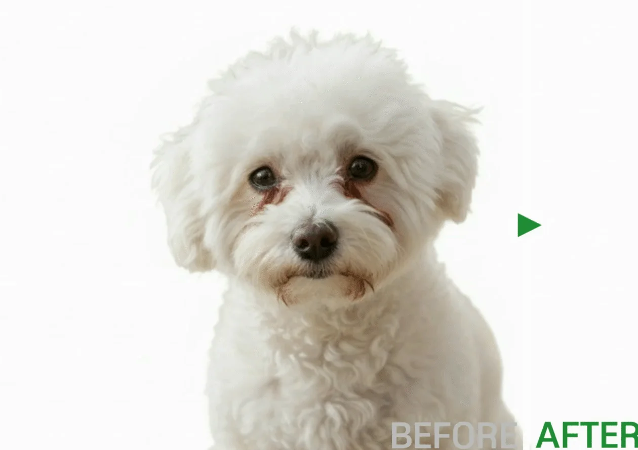 [NEW신상][무료배송] 피키펫 독 눈물 영양제 10g*20개입 3번째