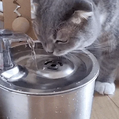 [무료배송] 펫팀 스테인리스 반려동물 정수기 28번째