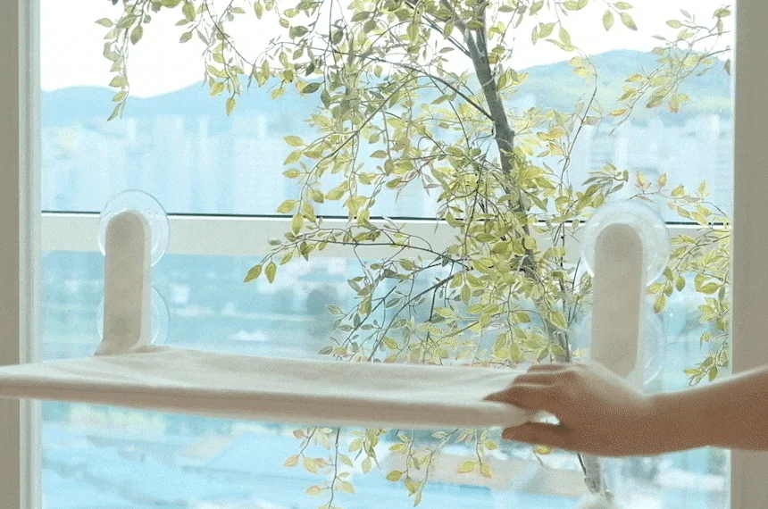 [NEW신상][무료배송] 세이펫 접이식 창문 캣타워 해먹 2종 (클리어/베이지) 11번째