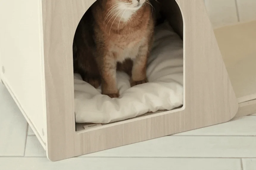 [NEW신상][무료배송] 세이펫 스크래쳐 미니캣타워 리필 2단 하우스 시즈스크래쳐 N1 8번째