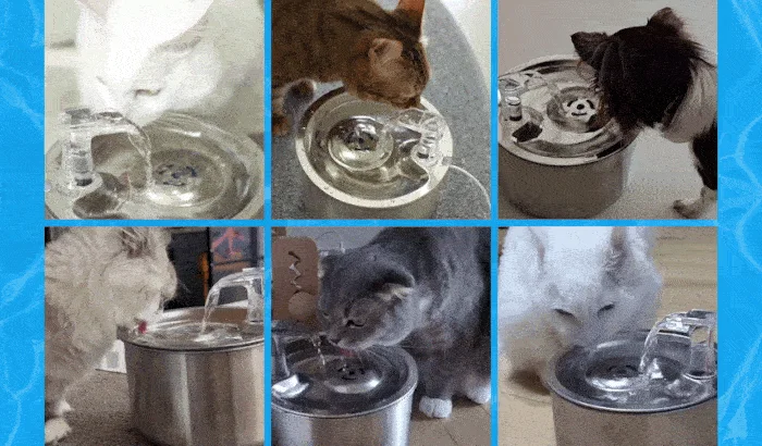 [무료배송] 펫팀 스테인리스 반려동물 정수기 6번째