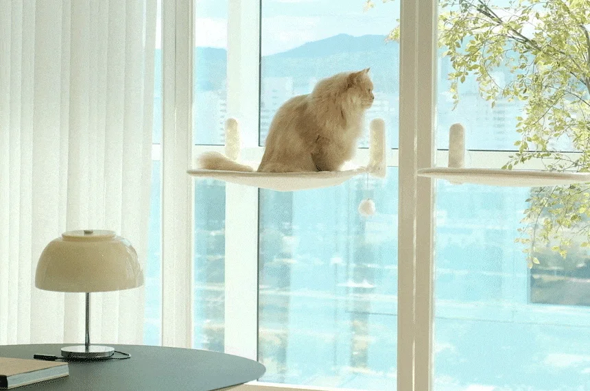 [NEW신상][무료배송] 세이펫 접이식 창문 캣타워 해먹 2종 (클리어/베이지) 5번째