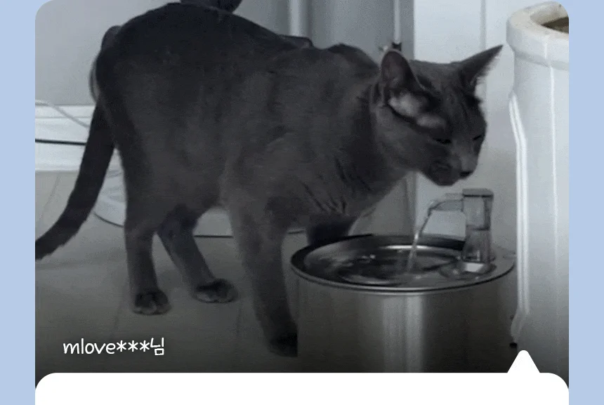 [무료배송] 펫팀 스테인리스 반려동물 정수기 15번째