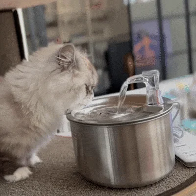 [무료배송] 펫팀 스테인리스 반려동물 정수기 27번째