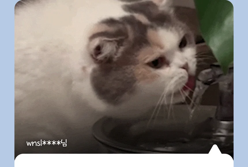 [무료배송] 펫팀 스테인리스 반려동물 정수기 17번째