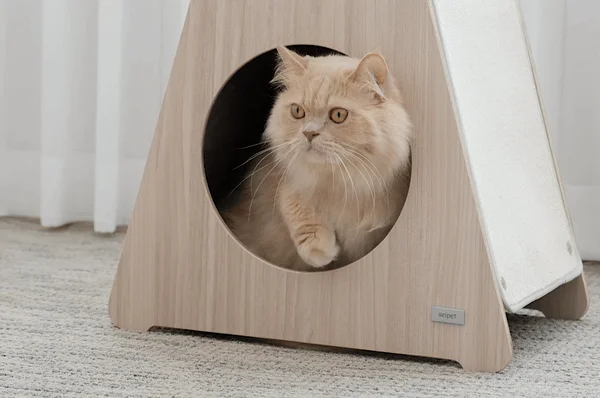 [NEW신상][무료배송] 세이펫 스크래쳐 리필 삼각 하우스 시즈스크래쳐 A1 19번째