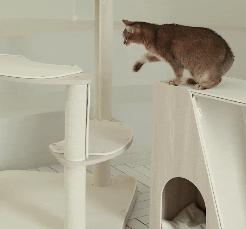 [NEW신상][무료배송] 세이펫 스크래쳐 미니캣타워 리필 2단 하우스 시즈스크래쳐 N1 6번째