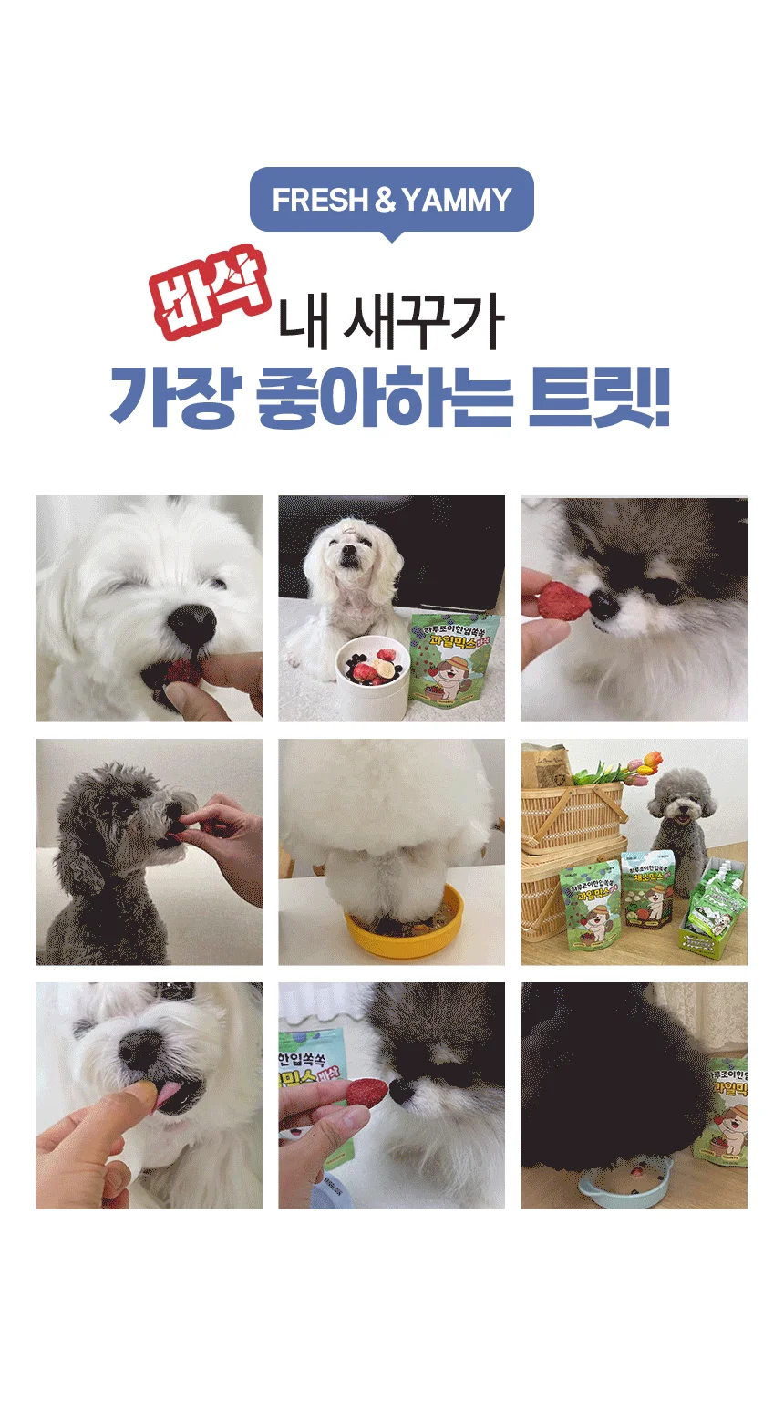 펫생각 독 하루조이 동결건조 과일믹스 25g 3번째