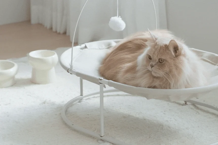 [NEW신상][무료배송] 세이펫 해먹침대 7번째