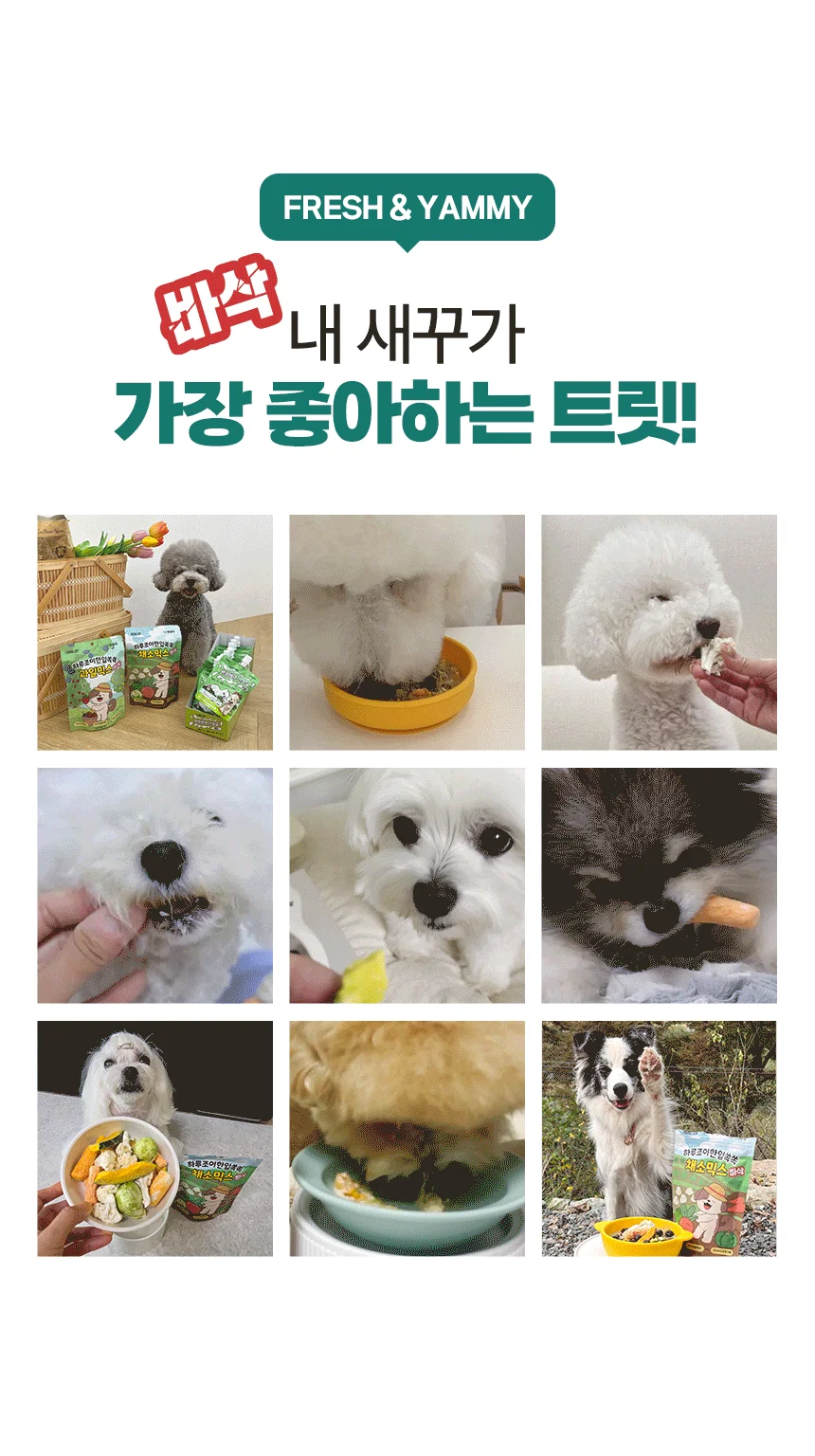펫생각 독 하루조이 동결건조 야채믹스 25g 4번째 상세 이미지