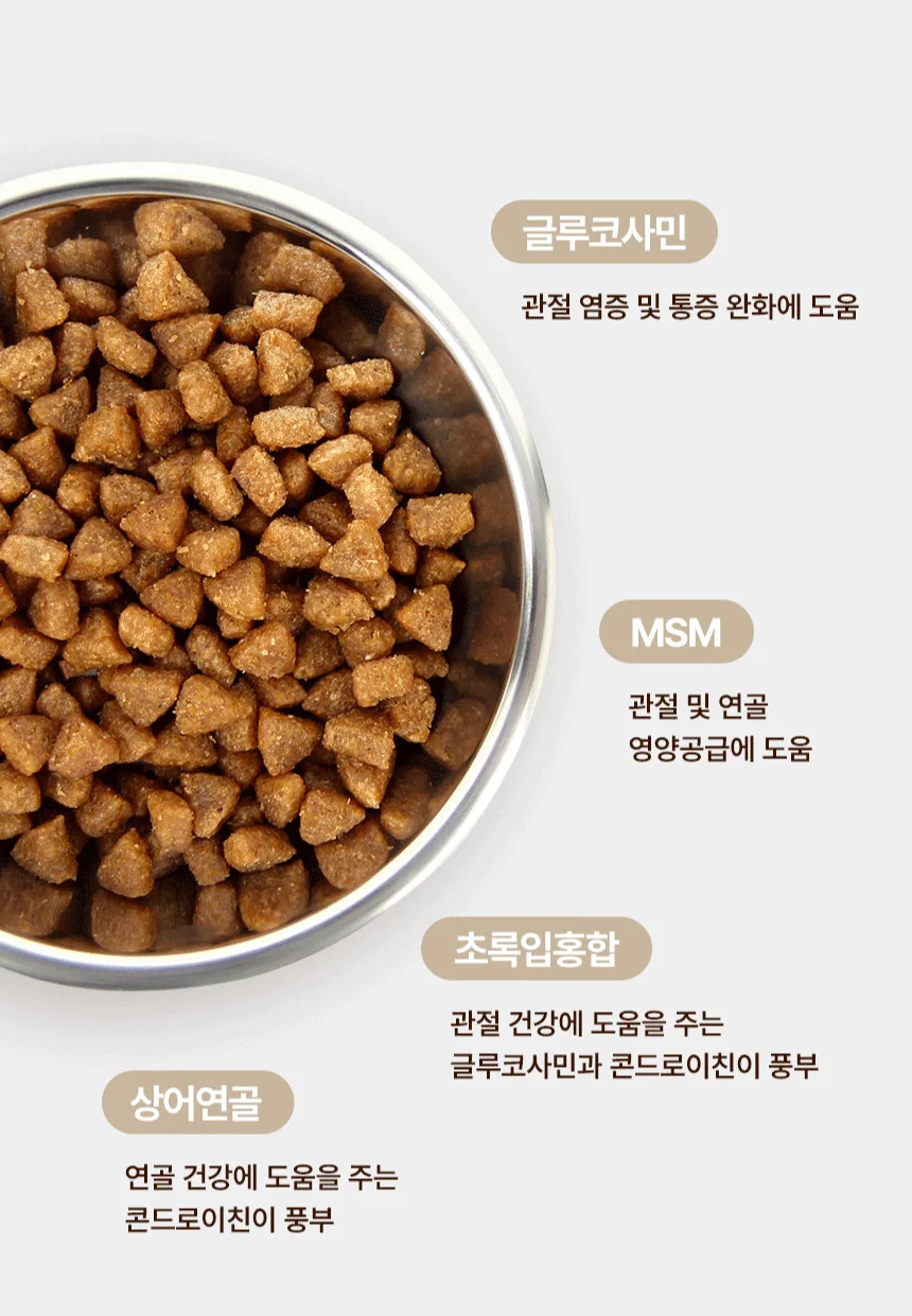 [NEW신상][무료배송] 데이스포 독 와이즈 조인트 1.2kg 9번째