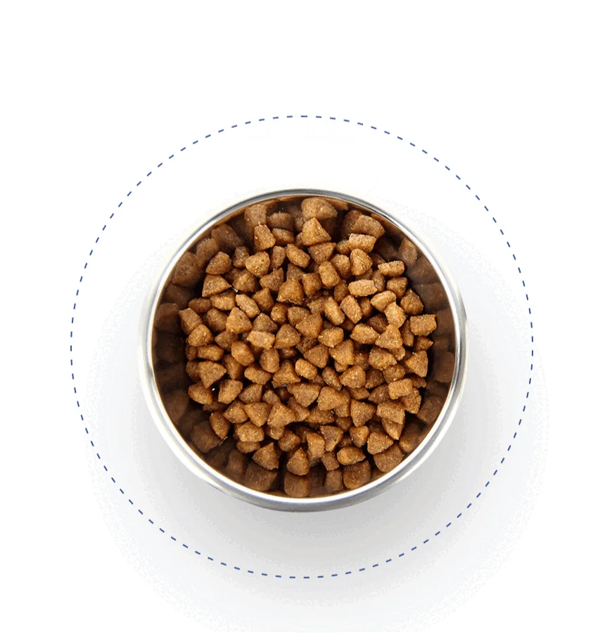 [NEW신상][무료배송] 데이스포 독 와이즈 조인트 1.2kg 13번째