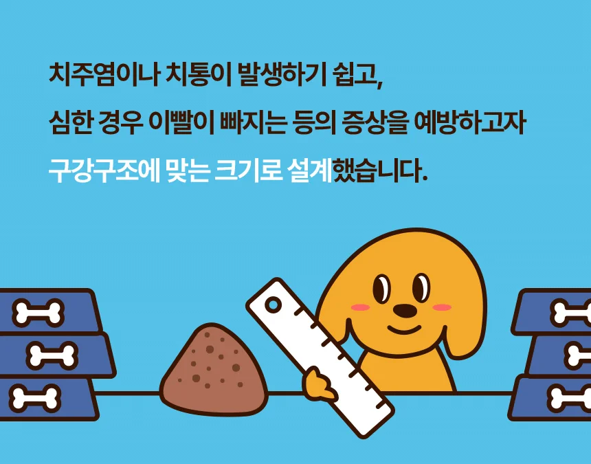 [NEW신상][무료배송] 데이스포 독 와이즈 조인트 1.2kg 14번째