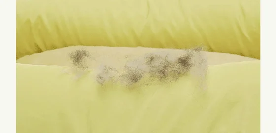 [NEW신상][무료배송] 아르르 V2 허밍백 미스티 퍼플/소다 그레이 18번째