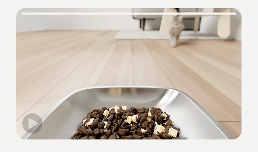 [NEW신상][무료배송] 펫마블 4.4L 카메라 자동급식기 M3 PRO (어플연동) 10번째 상세 이미지