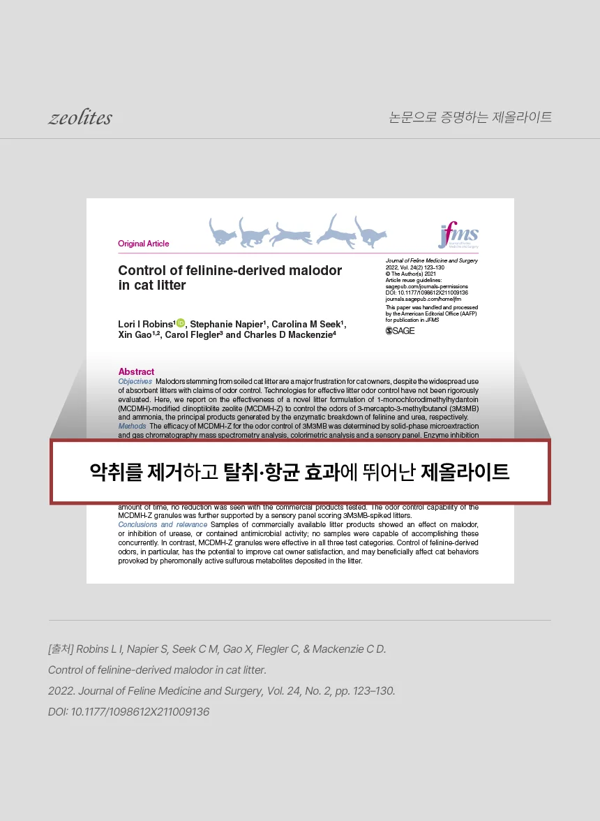 [무료배송] [4개] 벨버드 캣 벤토나이트 모래 5L 12번째