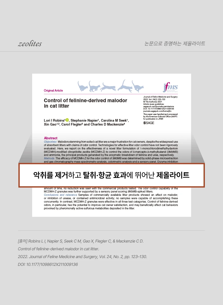 [NEW신상][무료배송] [4개] 벨버드 아이라이크 클럼핑 벤토나이트 모래 라벤더향 5L 12번째