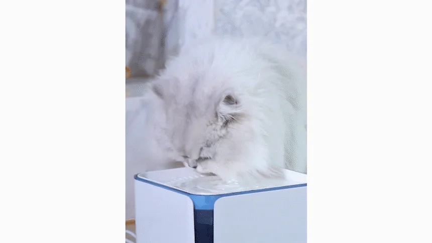 [무료배송] 위고 펫 분수대 자동 급수기 WP3WF 4번째 상세 이미지