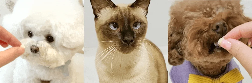 조공 미니트릿 네덜란드 산양유 65g 3번째 상세 이미지