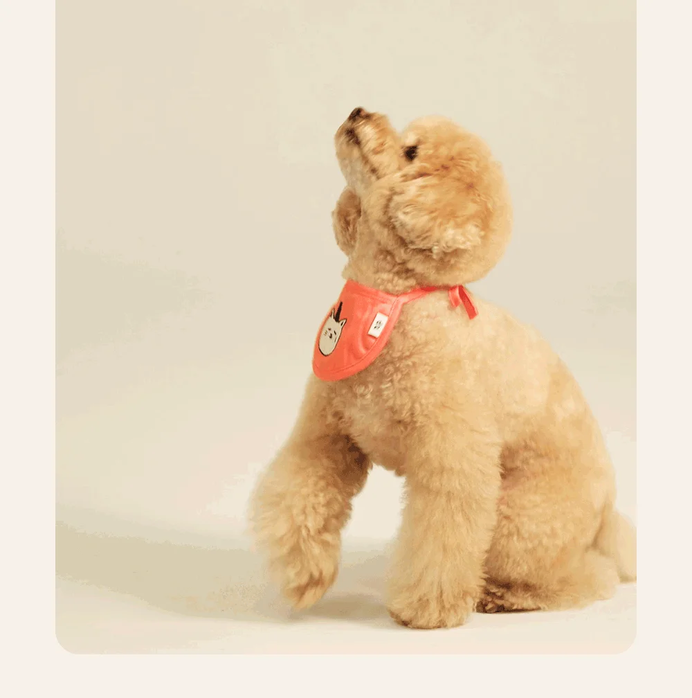 조공 미니트릿 네덜란드 산양유 65g 21번째 상세 이미지