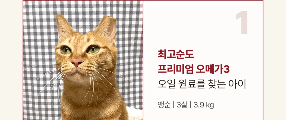 조공 프리미엄 rTG 레드 오메가3 미니 120캡슐 13번째 상세 이미지