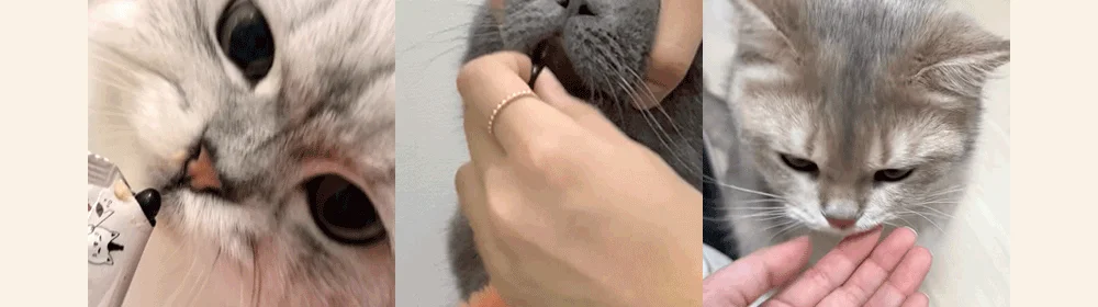 조공 프리미엄 rTG 레드 오메가3 미니 120캡슐 7번째 상세 이미지