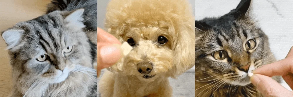 조공 미니트릿 네덜란드 산양유 65g 4번째 상세 이미지