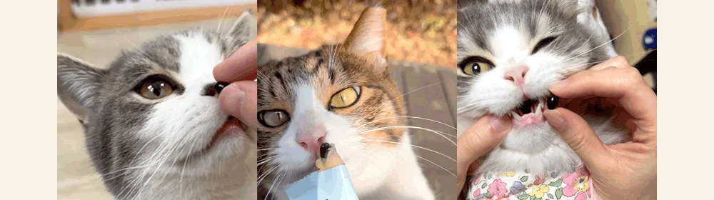 조공 프리미엄 rTG 레드 오메가3 미니 120캡슐 6번째 상세 이미지