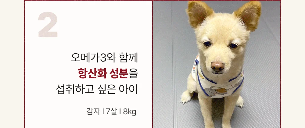 조공 프리미엄 rTG 레드 오메가3 미니 120캡슐 14번째 상세 이미지