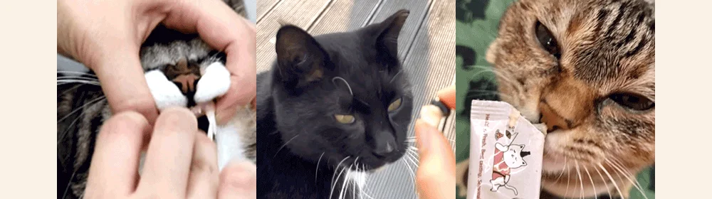 조공 프리미엄 rTG 레드 오메가3 미니 120캡슐 5번째 상세 이미지