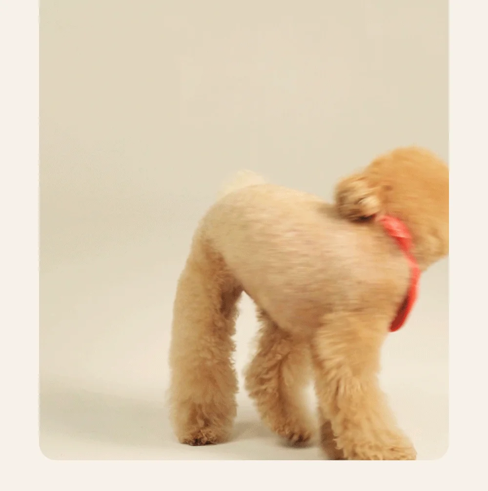 조공 미니트릿 태평양 북어 50g 21번째 상세 이미지