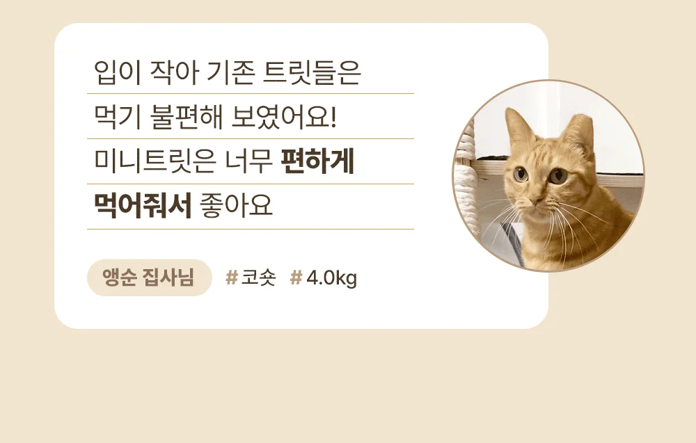 조공 미니트릿 태평양 북어 50g 8번째 상세 이미지