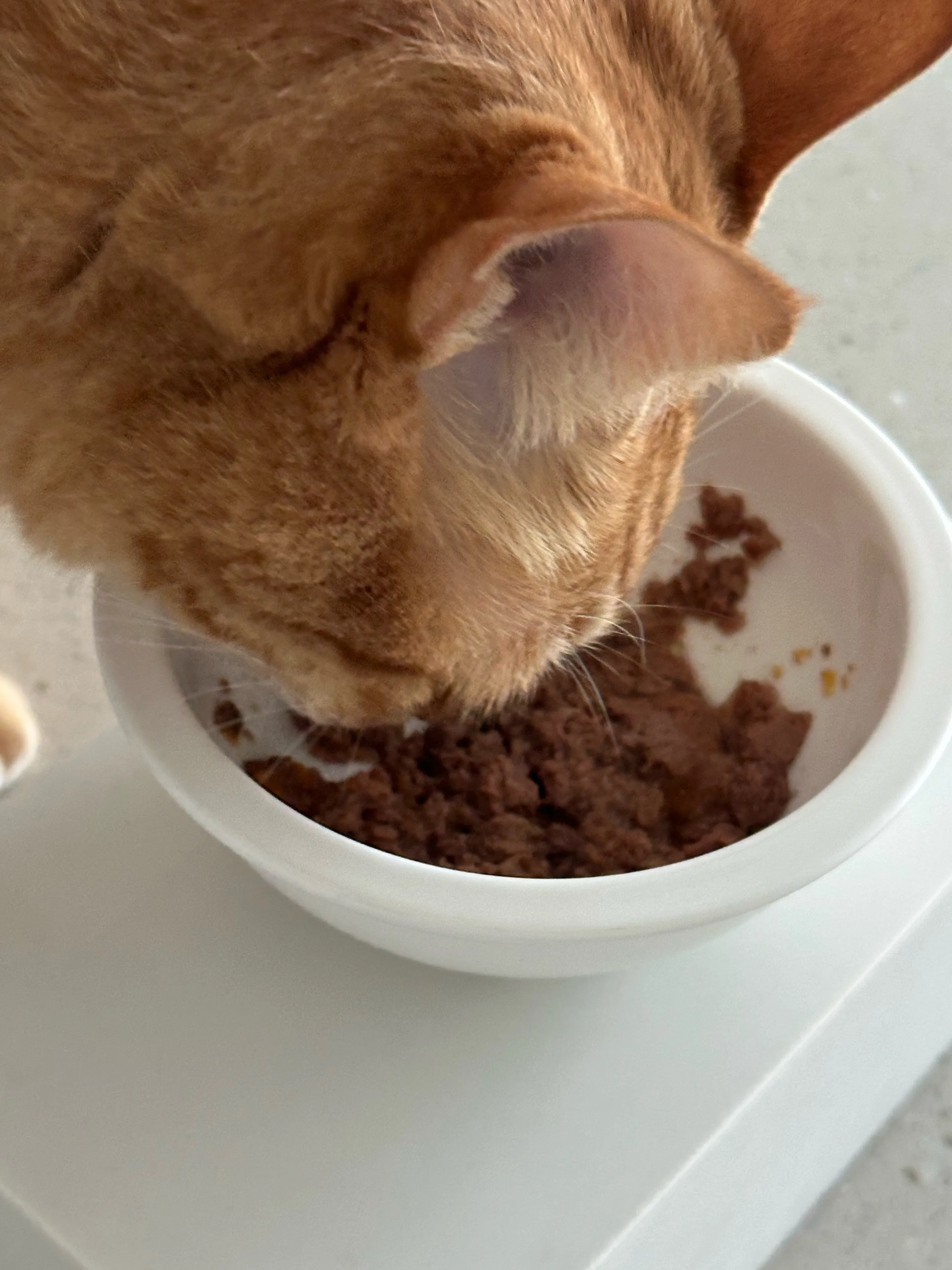 베스트 후기 이미지