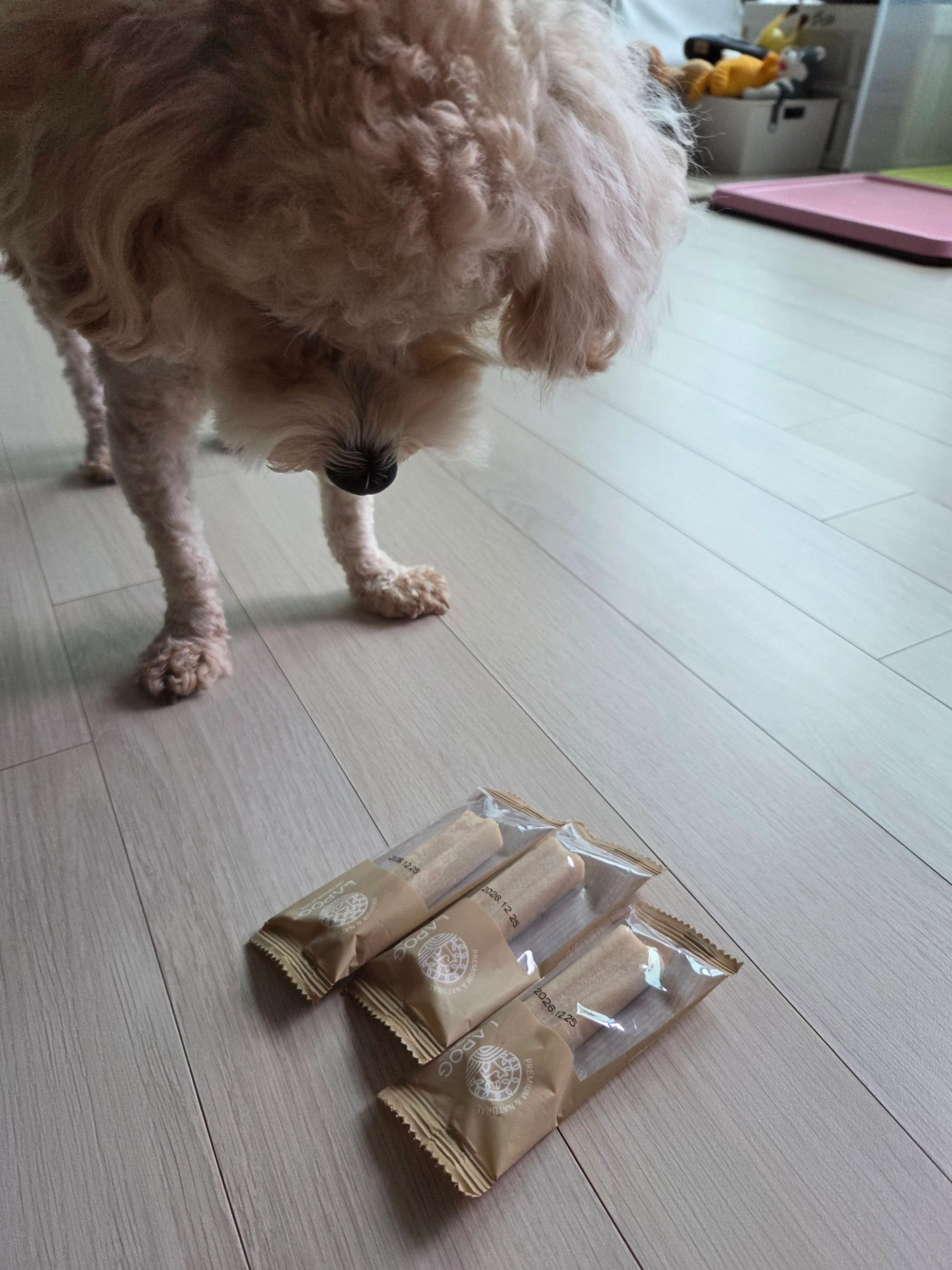 라포그 독 코어덴탈츄 조인트케어 22g*10p 베스트 후기 이미지