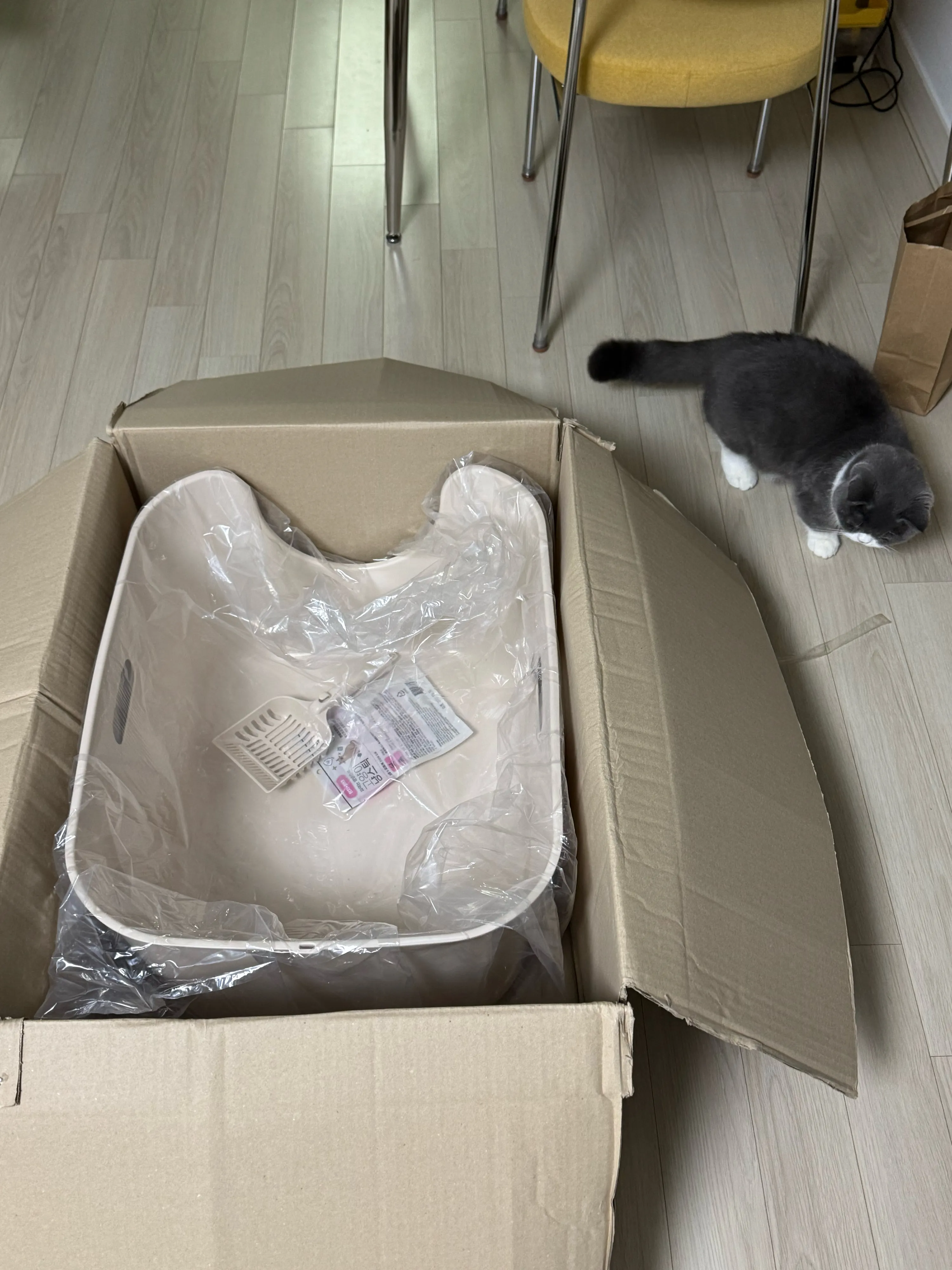 베스트 후기 이미지