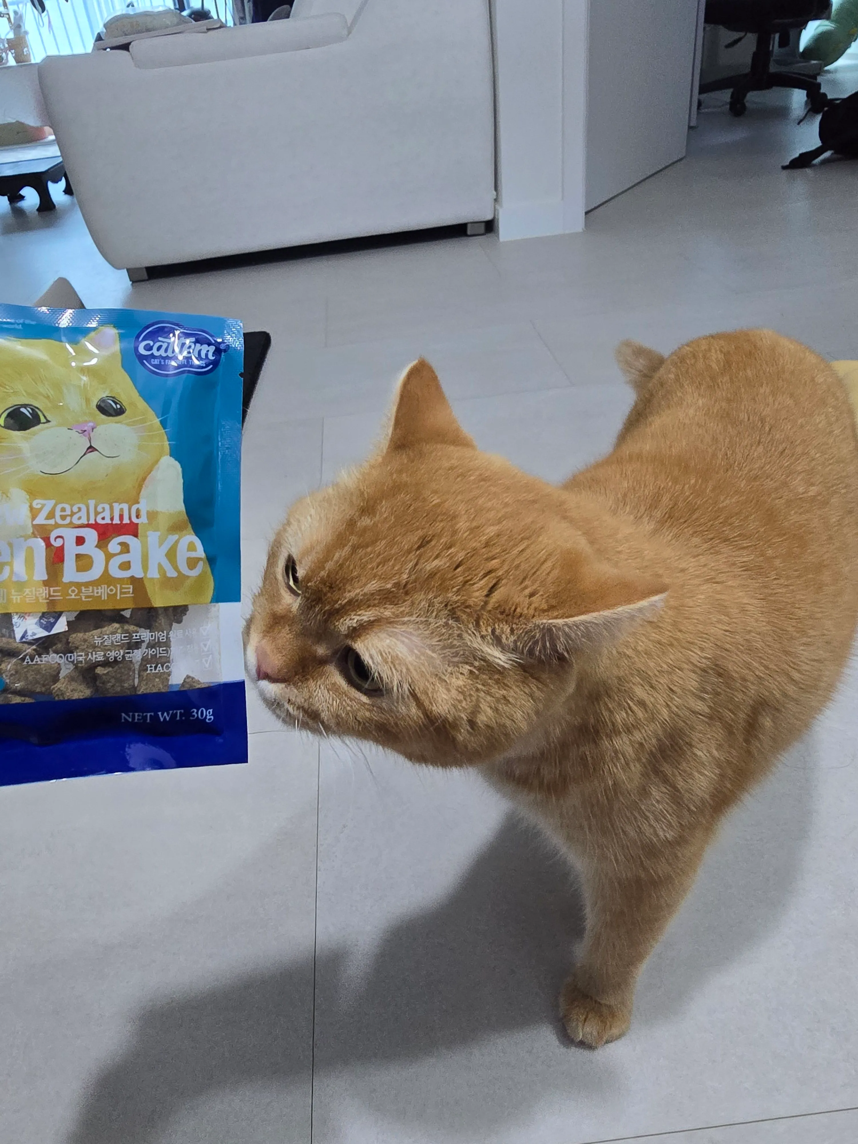 베스트 후기 이미지