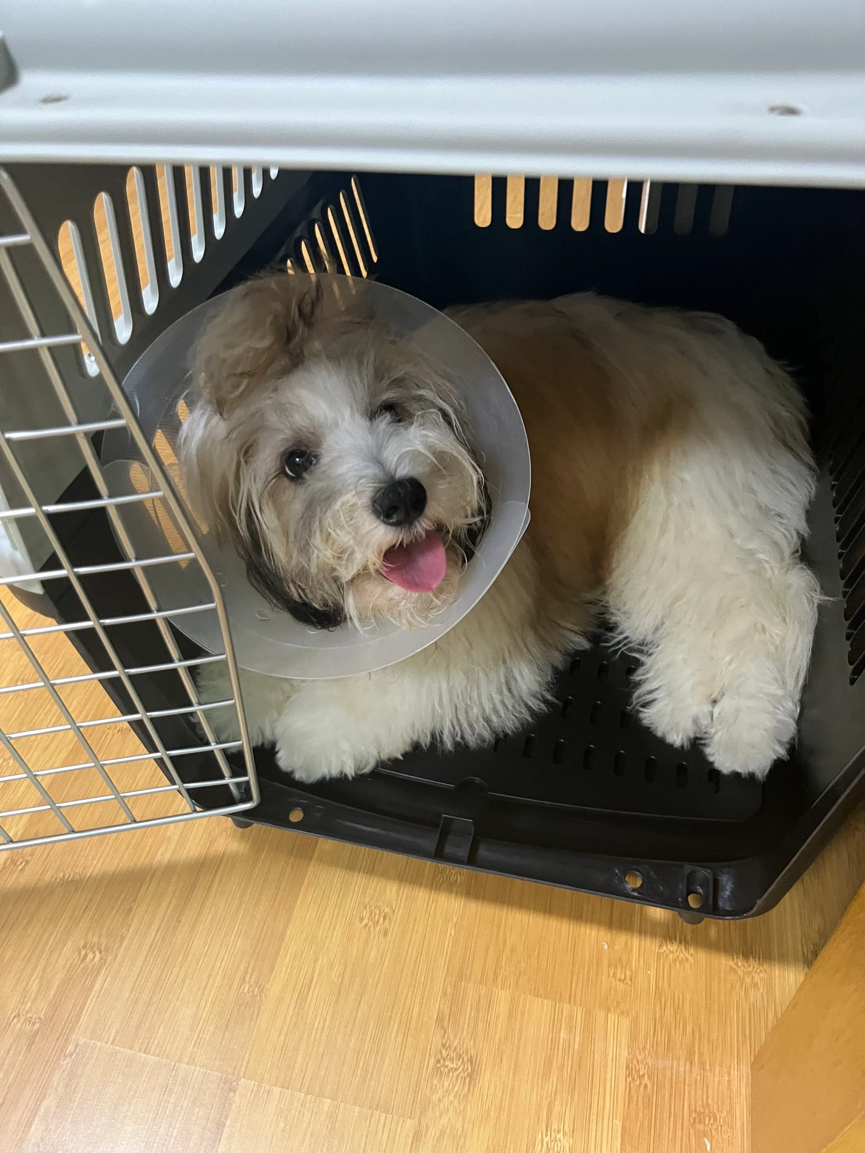 베스트 후기 이미지