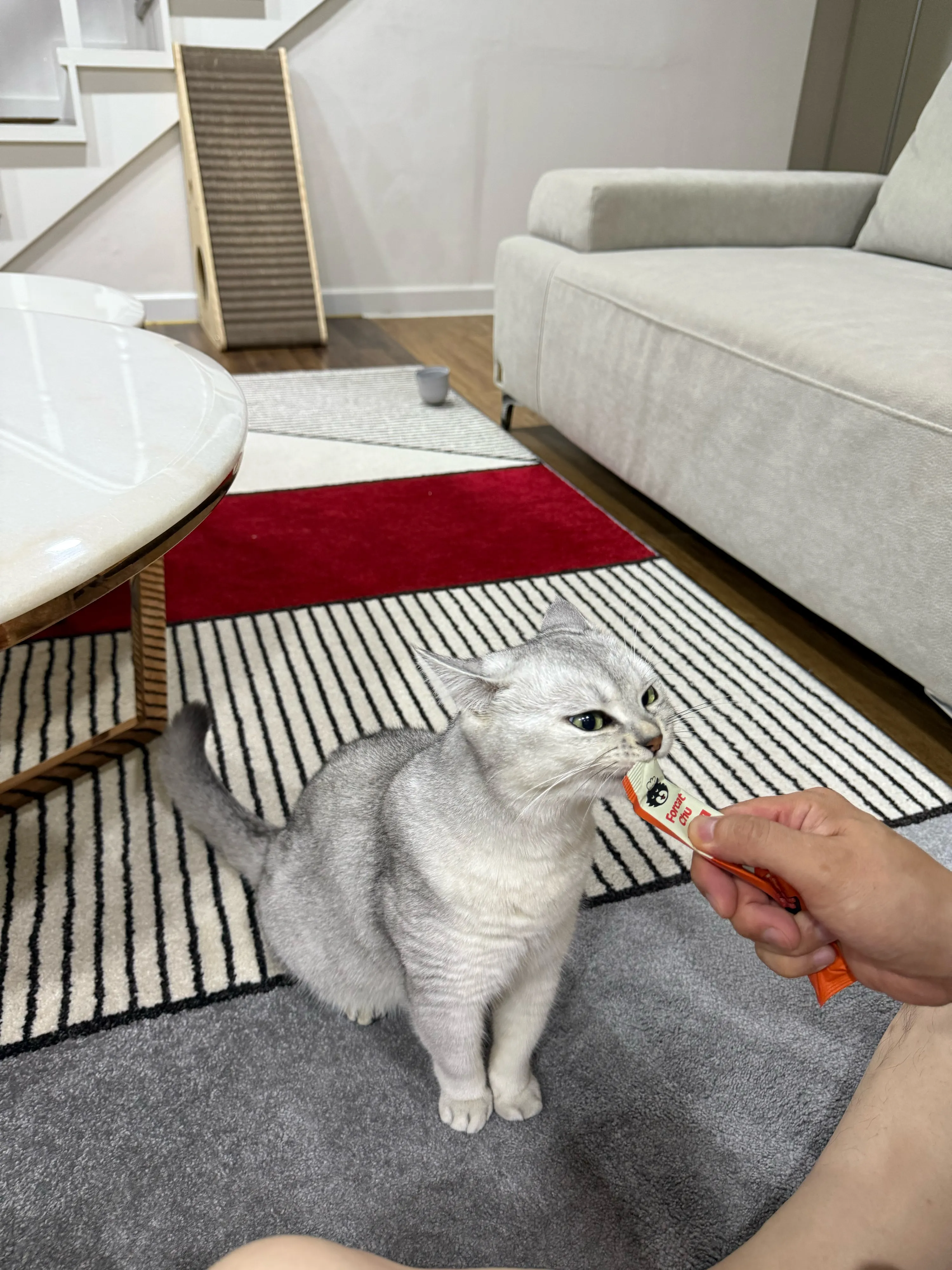 베스트 후기 이미지