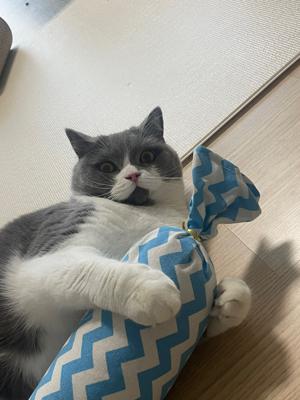 베스트 후기 이미지