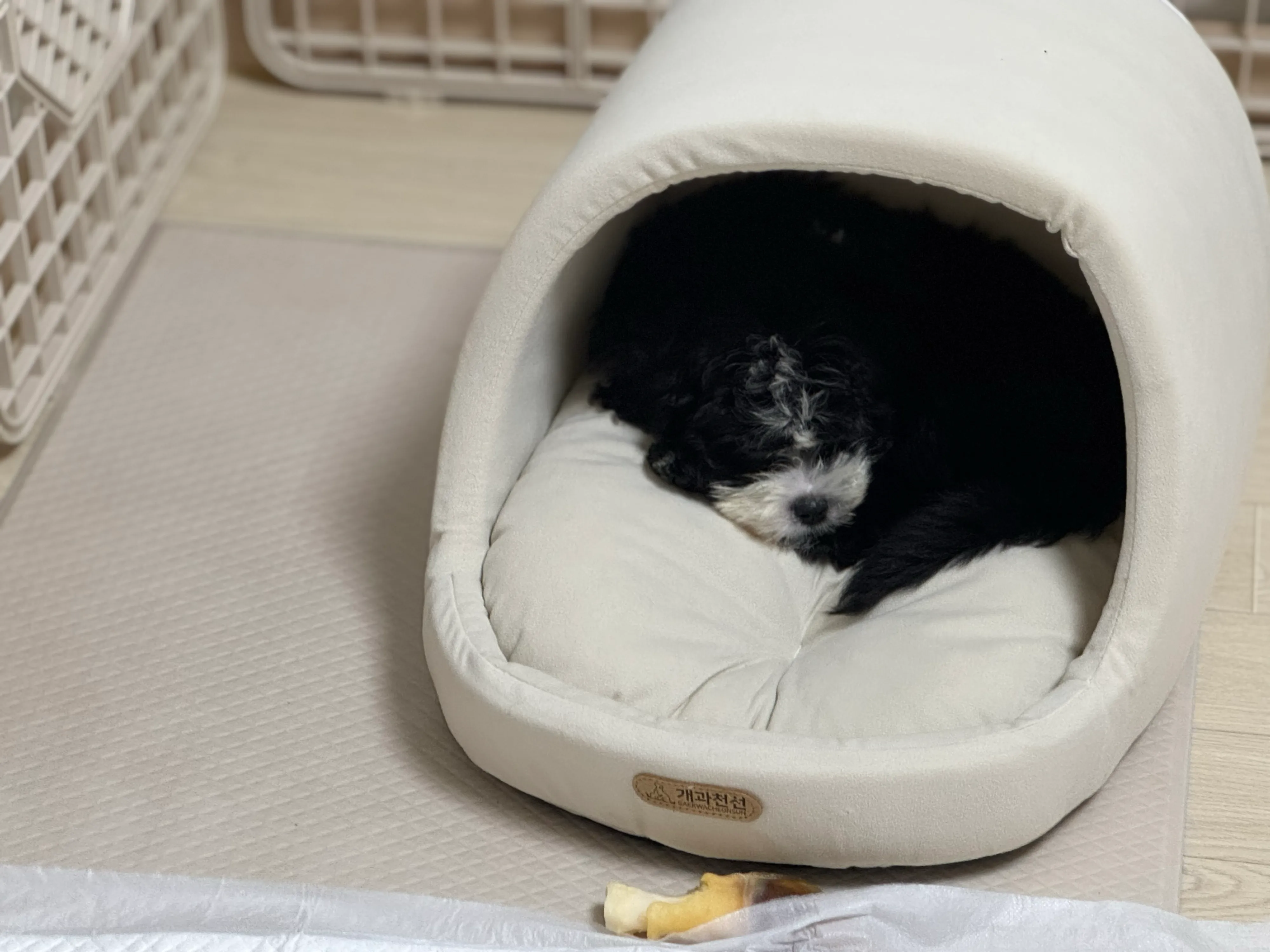 베스트 후기 이미지